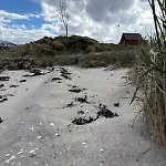 Cozy On The Island Of With Sea Views