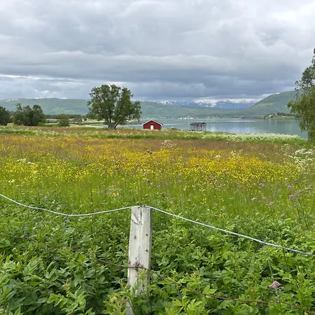 Cozy On The Island Of With Sea Views Senja