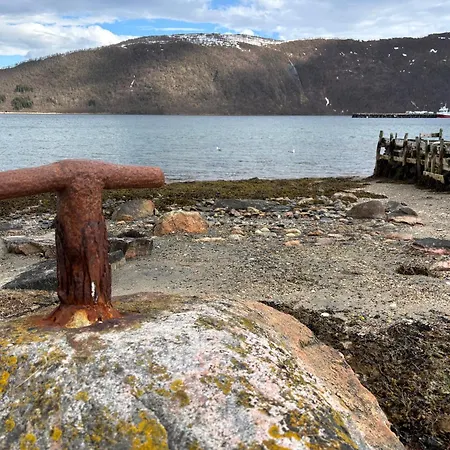 Feriehus Cozy On The Island Of With Sea Views Senja