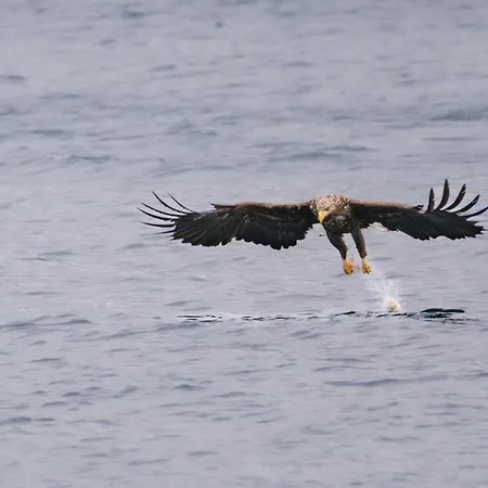 Cozy On The Island Of With Sea Views Feriehus *