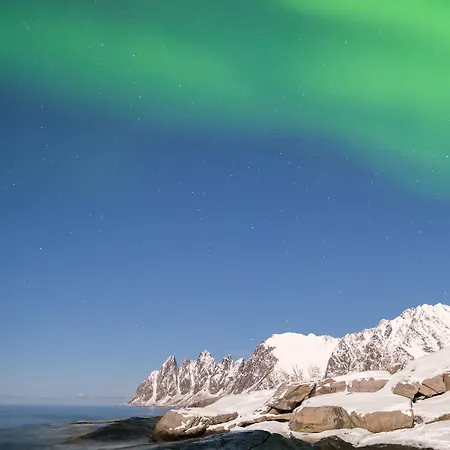 Cozy On The Island Of With Sea Views Feriehus Senja