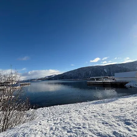 Cozy On The Island Of With Sea Views Senja