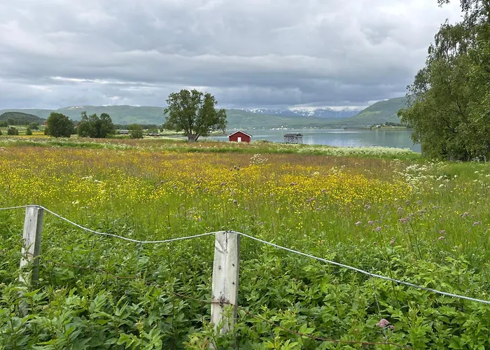 Cozy On The Island Of With Sea Views Senja