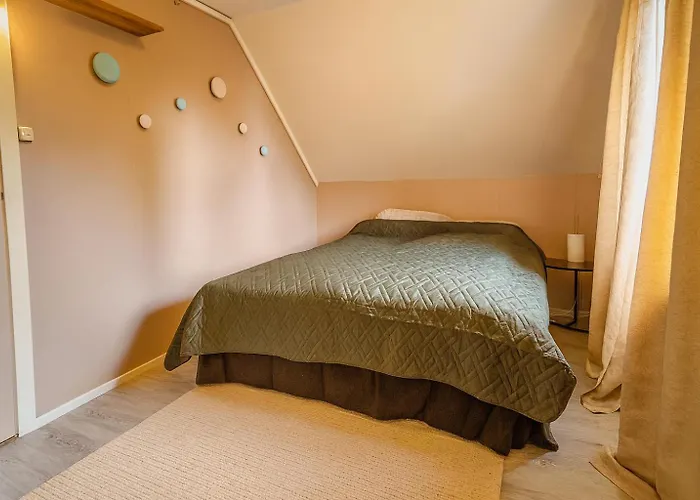 Cozy On The Island Of With Sea Views Senja