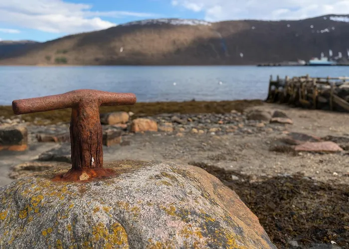 Cozy On The Island Of With Sea Views Senja