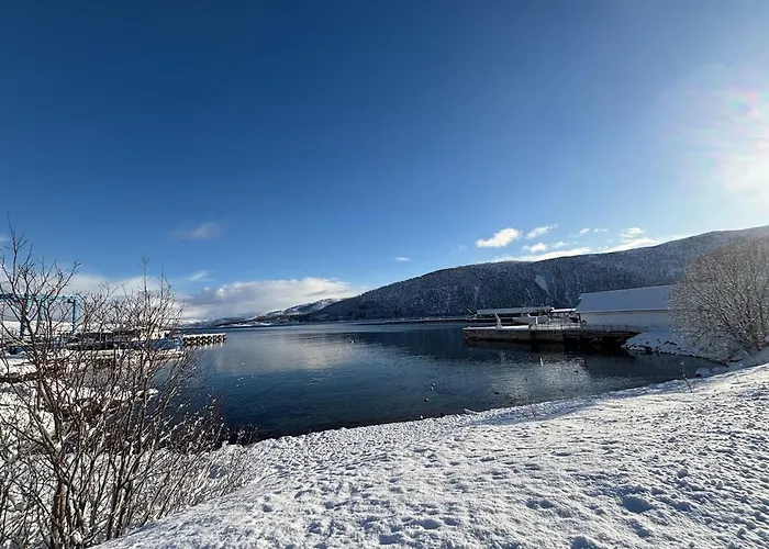 Cozy On The Island Of With Sea Views Senja